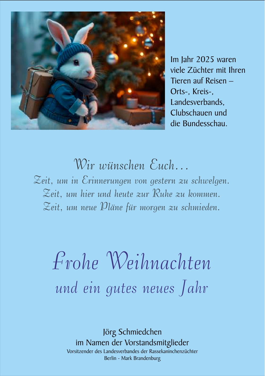 Weihnachtsgruß 2025 1